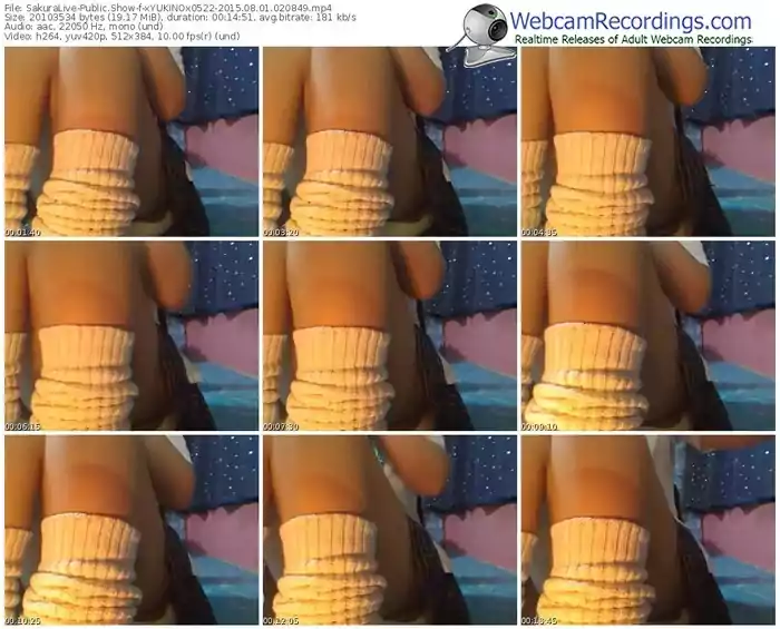 sakuralivejp-xyukinox0522-public-show-08_01_2015-02_08_49