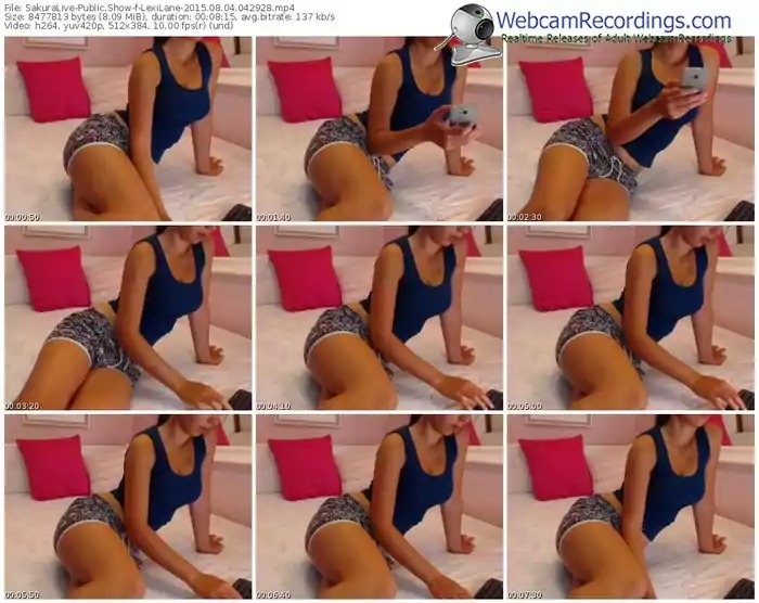 sakuralivejp-lexilane-public-show-08_04_2015-04_29_28