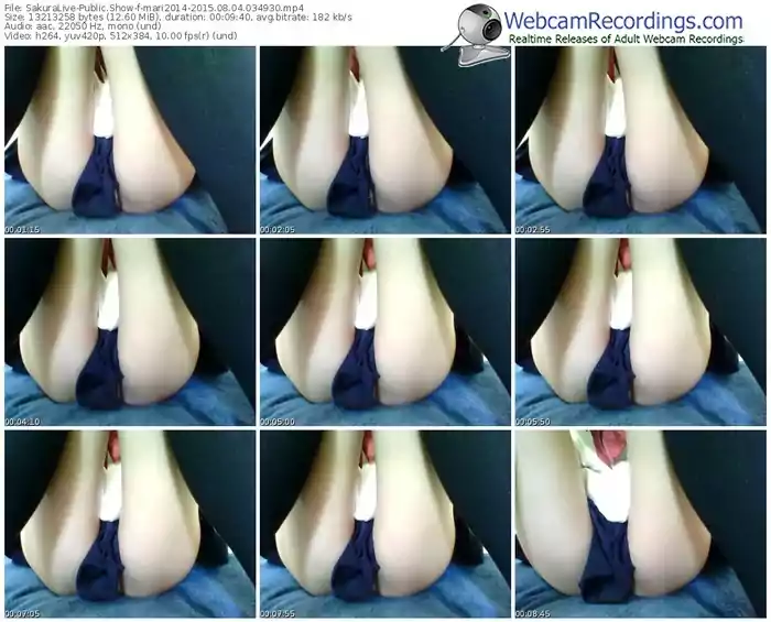 sakuralivejp-mari2014-public-show-08_04_2015-03_49_30