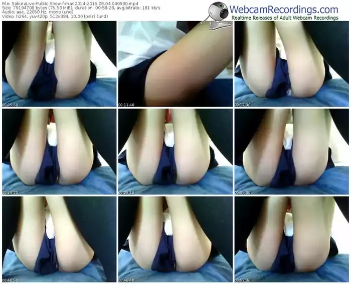 sakuralivejp-mari2014-public-show-08_04_2015-04_09_30