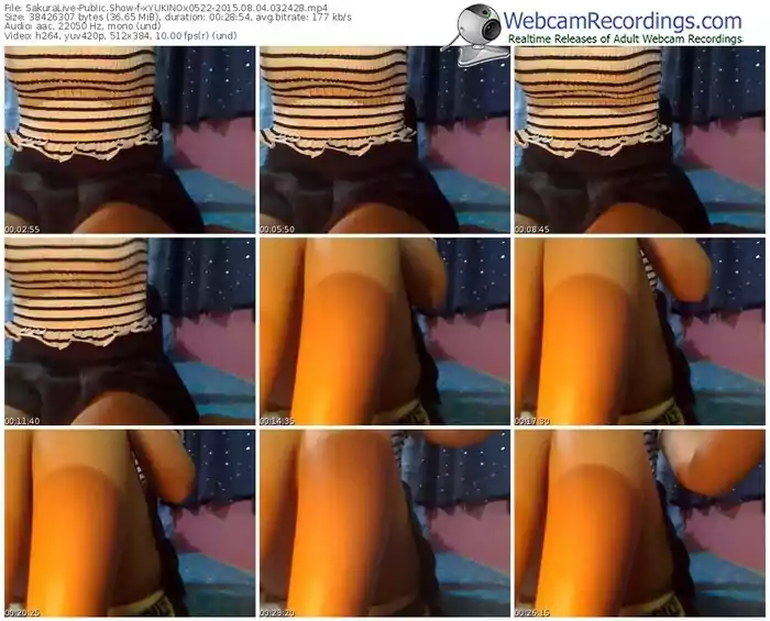 sakuralivejp-xyukinox0522-public-show-08_04_2015-03_24_28