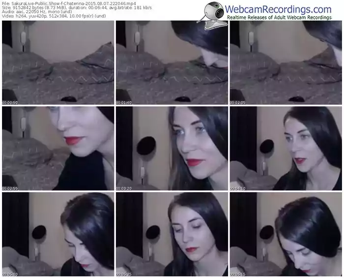 sakuralivejp-chaterina-public-show-08_07_2015-22_20_46