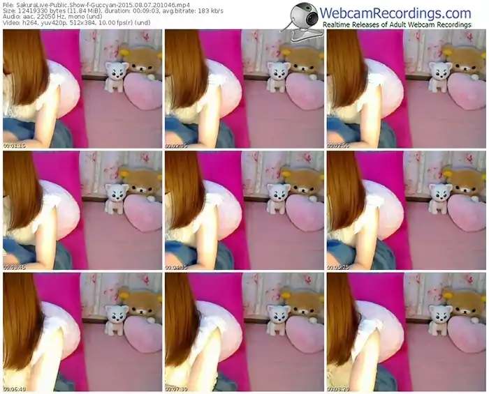 sakuralivejp-guccyan-public-show-08_07_2015-20_10_46