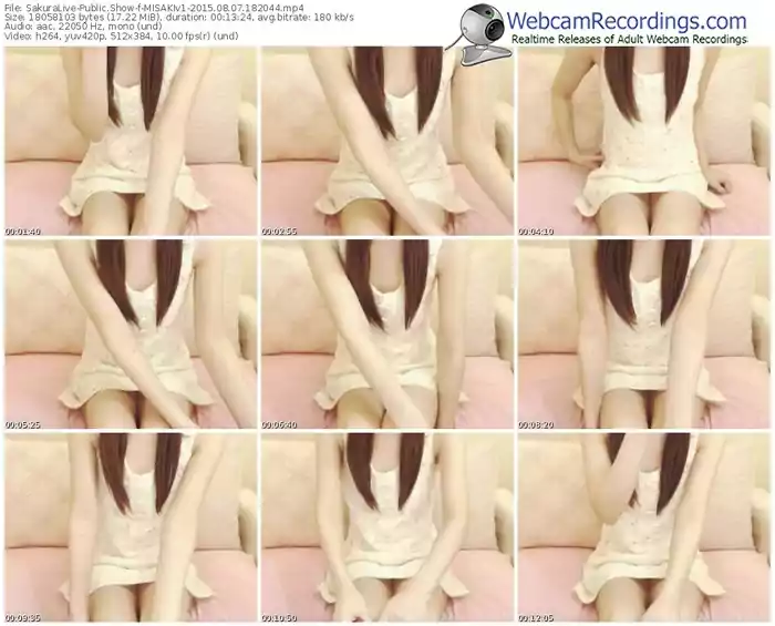 sakuralivejp-misakiv1-public-show-08_07_2015-18_20_44