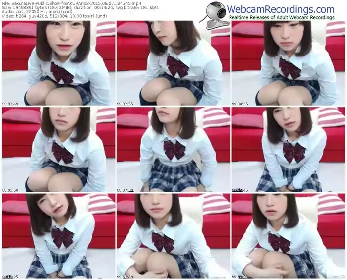 sakuralivejp-sakurano2-public-show-08_07_2015-13_45_45