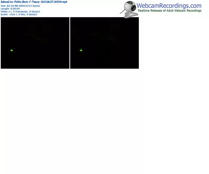 sakuralivejp-tracey-public-show-08_07_2015-18_35_44