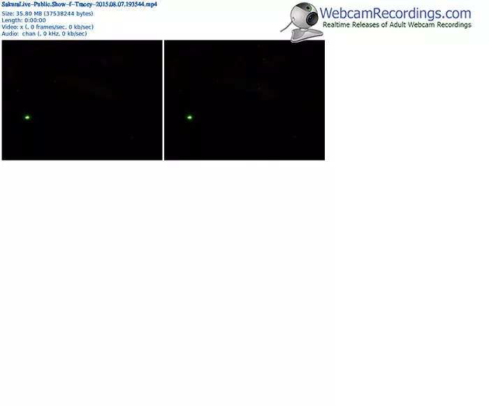 sakuralivejp-tracey-public-show-08_07_2015-19_35_44