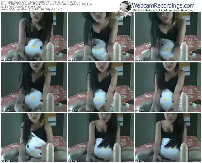 sakuralivejp-cris88-public-show-08_10_2015-11_31_51