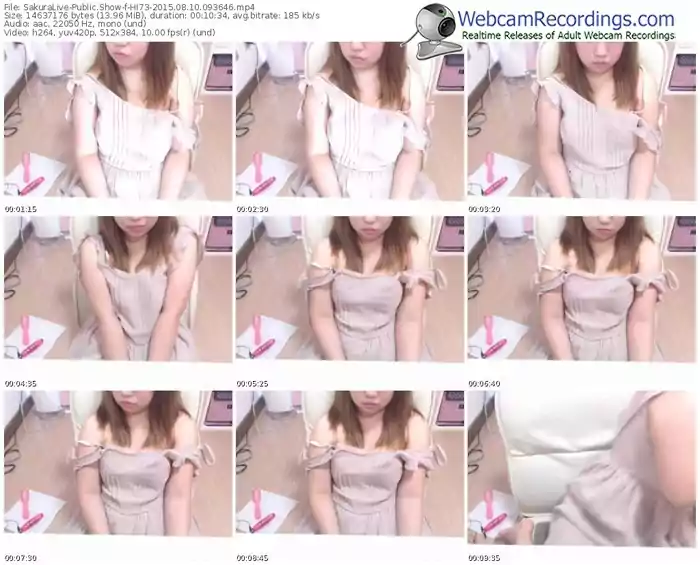 sakuralivejp-hi73-public-show-08_10_2015-09_36_46