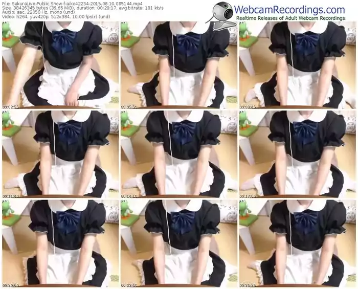 sakuralivejp-aiko42234-public-show-08_10_2015-08_51_44