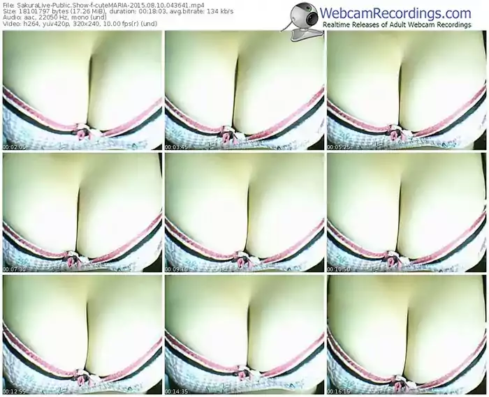 sakuralivejp-cutemaria-public-show-08_10_2015-04_36_41