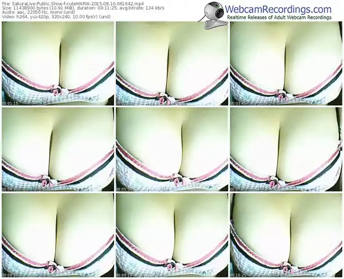 sakuralivejp-cutemaria-public-show-08_10_2015-06_16_42