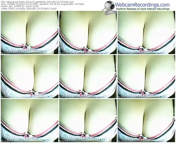 sakuralivejp-cutemaria-public-show-08_10_2015-07_16_43