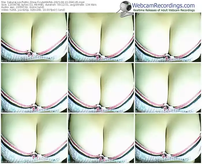 sakuralivejp-cutemaria-public-show-08_10_2015-09_41_45