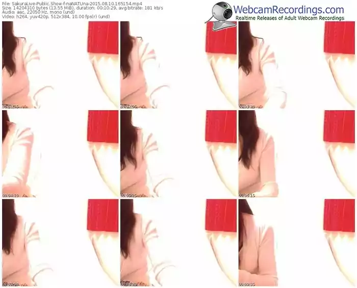 sakuralivejp-nanatuna-public-show-08_10_2015-16_51_54