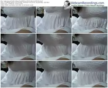 sakuralivejp-vvmikovv-public-show-08_10_2015-03_31_38