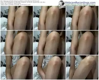 sakuralivejp-vvmikovv-public-show-08_10_2015-17_21_54