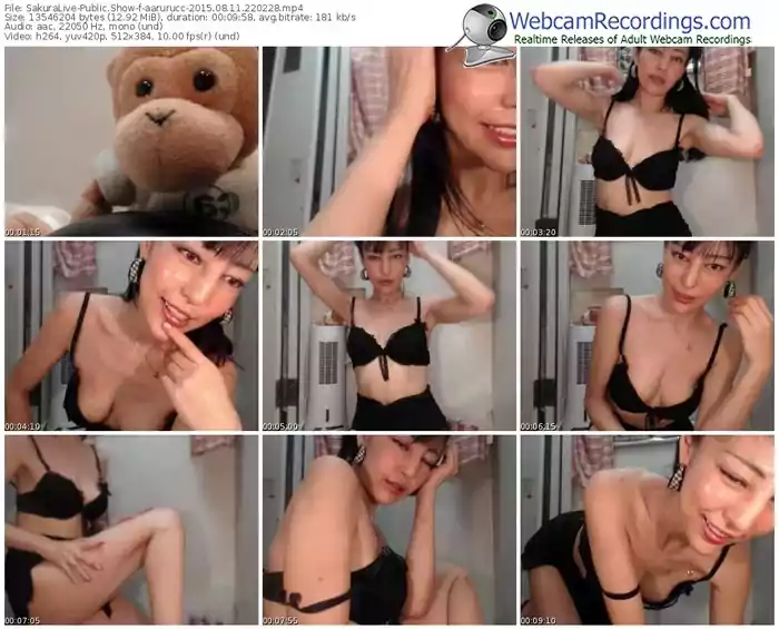 sakuralivejp-aarurucc-public-show-08_11_2015-22_02_28