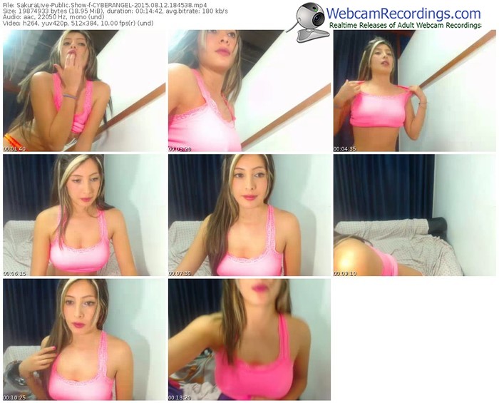 sakuralivejp-cyberangel-public-show-08_12_2015-18_45_38