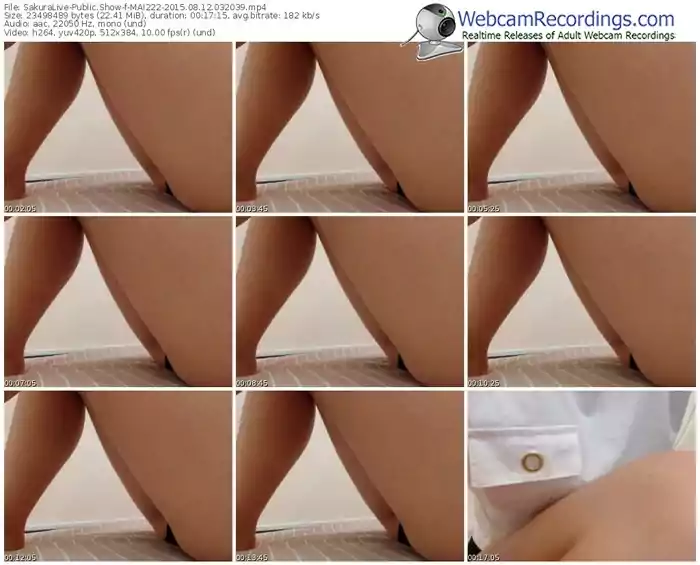 sakuralivejp-mai222-public-show-08_12_2015-03_20_39