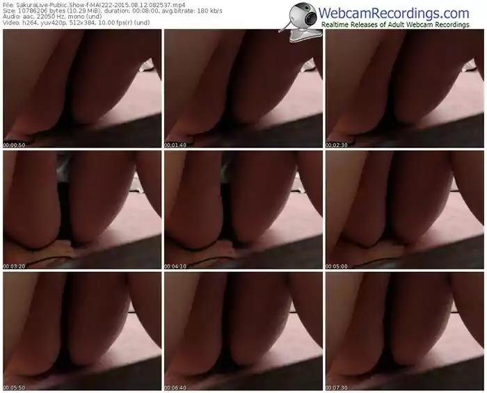 sakuralivejp-mai222-public-show-08_12_2015-08_25_37