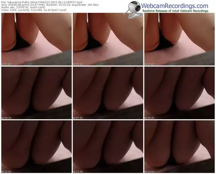 sakuralivejp-mai222-public-show-08_12_2015-08_35_37