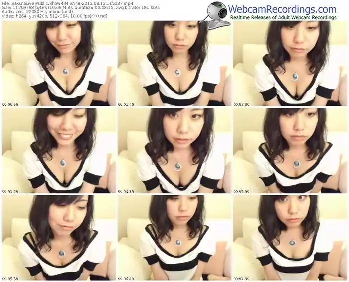 sakuralivejp-misa48-public-show-08_12_2015-11_50_37