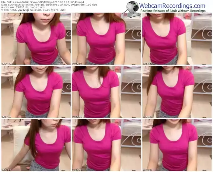 sakuralivejp-risakosp-public-show-08_12_2015-11_00_40