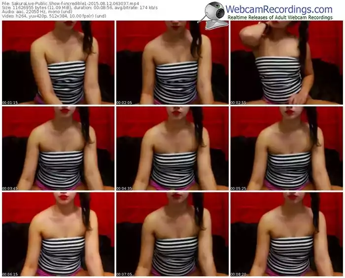 sakuralivejp-incredible1-public-show-08_12_2015-06_30_37