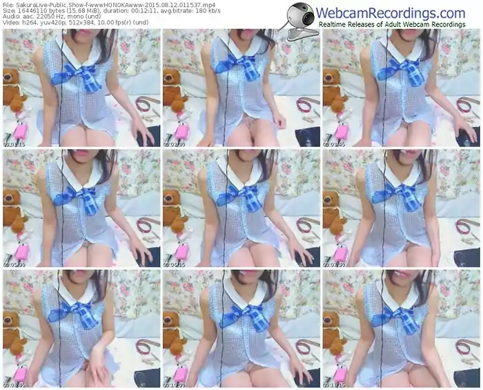 sakuralivejp-wwwhonokawww-public-show-08_12_2015-01_15_37