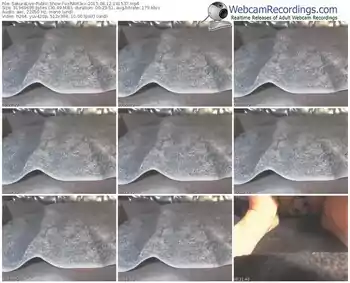 sakuralivejp-xxram3xx-public-show-08_12_2015-14_15_37