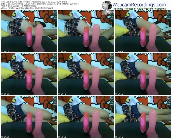 sakuralivejp-kisses88-public-show-08_13_2015-01_20_45