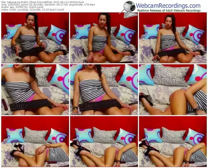 sakuralivejp-incredible1-public-show-08_13_2015-10_05_56