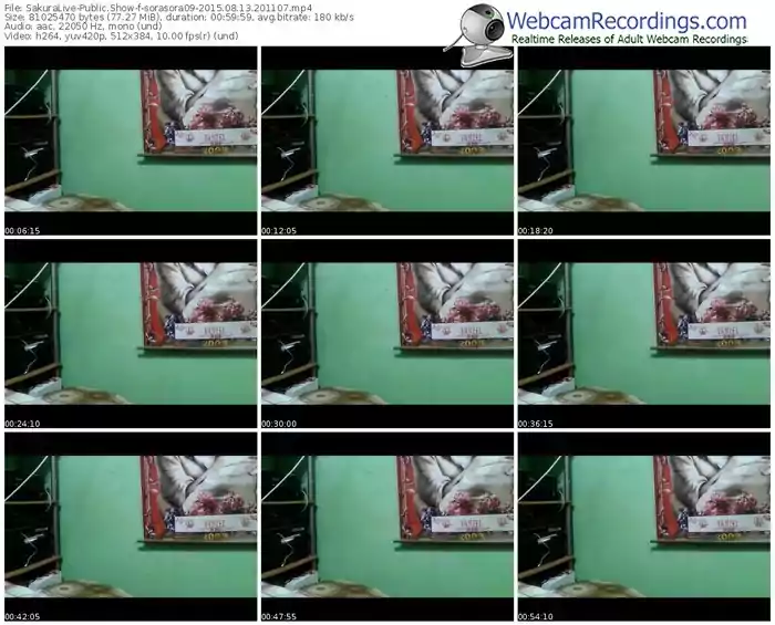 sakuralivejp-sorasora09-public-show-08_13_2015-20_11_07