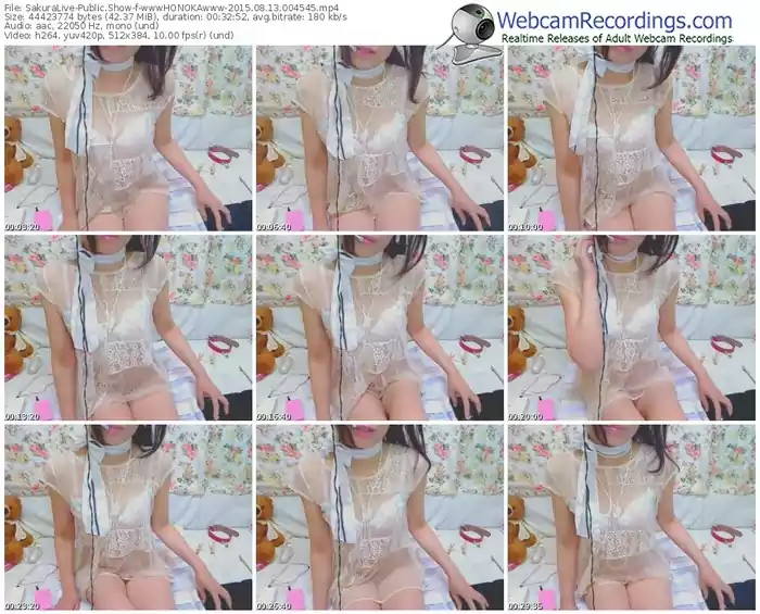 sakuralivejp-wwwhonokawww-public-show-08_13_2015-00_45_45