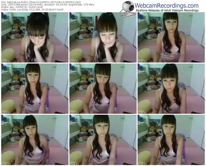 sakuralivejp-xyumimix-public-show-08_13_2015-08_20_53