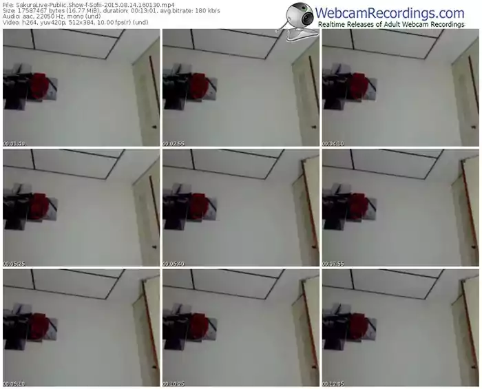 sakuralivejp-sofii-public-show-08_14_2015-16_01_30