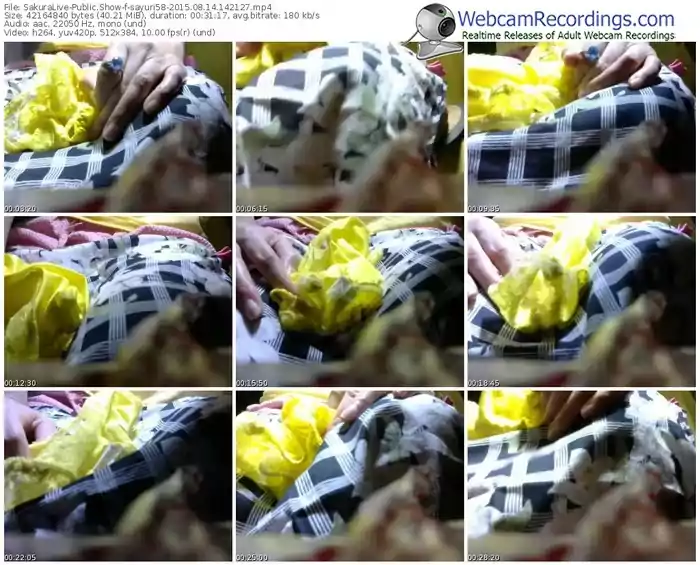 sakuralivejp-sayuri58-public-show-08_14_2015-14_21_27