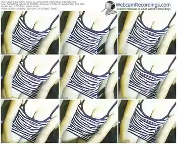 sakuralivejp-yummyrumi-public-show-08_14_2015-03_46_15