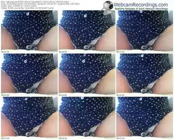 sakuralivejp-ayu86927-public-show-08_16_2015-18_52_25