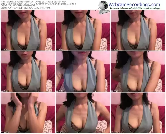 sakuralivejp-cctv8888-public-show-08_16_2015-11_17_17