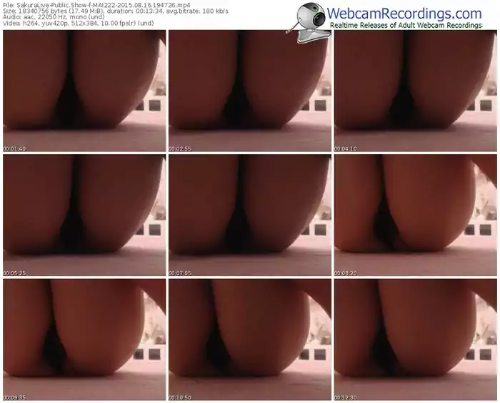 sakuralivejp-mai222-public-show-08_16_2015-19_47_26