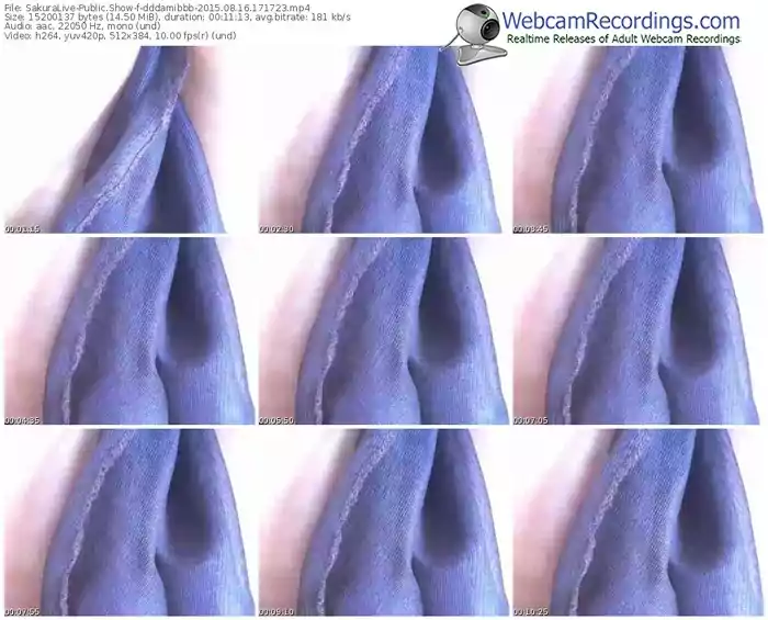 sakuralivejp-dddamibbb-public-show-08_16_2015-17_17_23