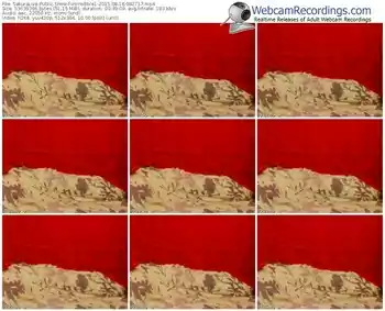 sakuralivejp-incredible1-public-show-08_16_2015-08_27_17