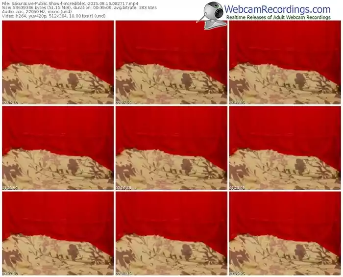 sakuralivejp-incredible1-public-show-08_16_2015-08_27_17