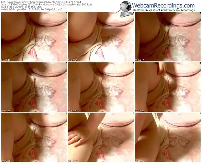 sakuralivejp-xerikachan-public-show-08_16_2015-11_47_17