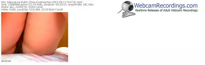 sakuralivejp-xerikachan-public-show-08_17_2015-01_47_31