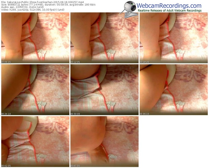 sakuralivejp-xerikachan-public-show-08_18_2015-00_02_57