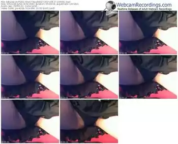 sakuralivejp-ayu86927-public-show-08_27_2015-19_49_31