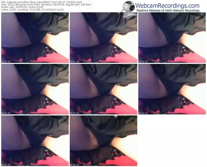 sakuralivejp-ayu86927-public-show-08_27_2015-19_49_31